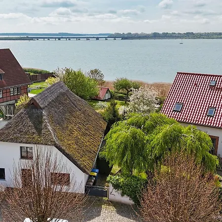 Tatil Evi Reethaus Altefähr